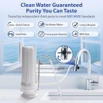 iSpring CKC1-NC Countertop Water Filtration System