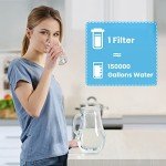 Brightify 5 Micron Carbon Whole House Water Filter