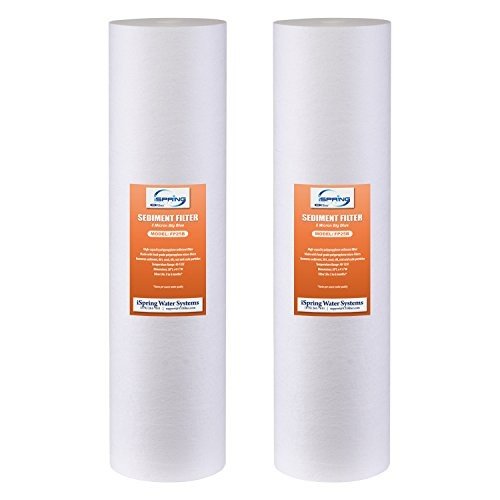 iSpring 20” x 4.5” Whole House Water Filter