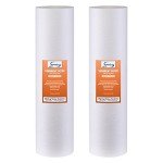 iSpring 20” x 4.5” Whole House Water Filter