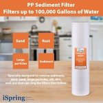 iSpring 20” x 4.5” Whole House Water Filter