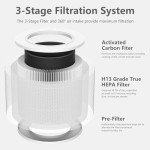 Romon 4-Pack H13 True HEPA Filter for LEVOIT