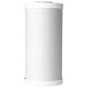 AO Smith 25 Micron Carbon Water Filter Cartridge