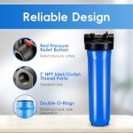 iSpring WGB12B Whole House Water Filter System