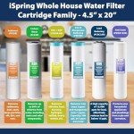 iSpring WGB12B Whole House Water Filter System