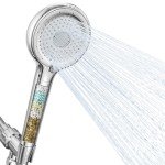 Filtered High Pressure Handheld Shower Head