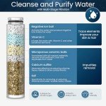 Filtered High Pressure Handheld Shower Head