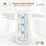 Aquaboon Whole House 1 Micron Water Filter - 4 Pack