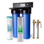 iSpring WGB22BM Whole House Water Filter System