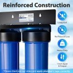 iSpring WGB22BM Whole House Water Filter System