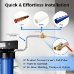 iSpring WGB22BM Whole House Water Filter System
