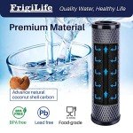 FrigiLife 1 Micron Whole House Carbon Filter 3-Pack