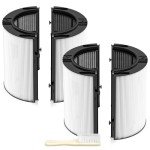 Dyson 2-Pack 2-in-1 HEPA + Carbon Filter