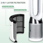 Dyson 2-Pack 2-in-1 HEPA + Carbon Filter