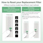 Dyson 2-Pack 2-in-1 HEPA + Carbon Filter