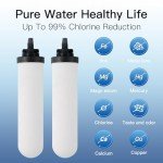 FACHIOO 4-Pack 7" Ceramic Replacement Filters