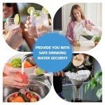 TOTTE Under Sink Water Filter System, 22000 Gallons