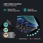 Frizzlife TW10 Under Sink Water Filter System