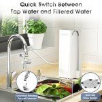 OEMIRY Countertop Alkaline Water Filtration System