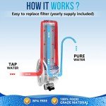 Countertop Water Filter System with Extra Cartridges