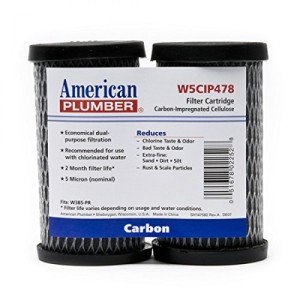 AMERICAN PLUMBER Water Filter Taste And Odor Cartridges W5CIP478 (4-pack)