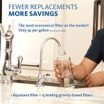 Aquasana Under Sink Water Filter System - Chrome