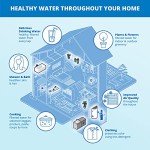 Aquasana Whole House Water Filter System
