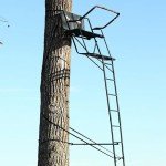 Big Game The Big Buddy Steel Hunting Tree Stand