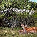 YOLENY Portable See-Through Hunting Blind for 4-6