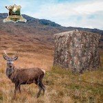 270° See-Through Pop-Up Hunting Blind for 2-3