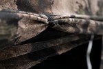 BOG Prevail Mossy Oak Hunting Ground Blind