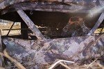 BOG Prevail Mossy Oak Hunting Ground Blind
