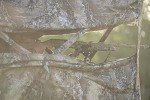BOG Grave Digger Ground Blind with Silent Zippers