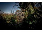Ameristep Caretaker Lightweight 2-Person Hunting Blind