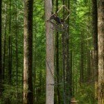 Muddy Deer Hunting Climbing Adjustable Quiet Heavy-Duty Huntsman Deluxe 17 ft 1-Person Ladder Tree Stand, Black