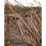 Beavertail 1700 Boat Blind for 16'-18' Boats