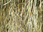 Duck Blind Camo Palm Thatch Kit for Boats
