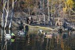 Banded Avery Quick-Set Duck Boat Blind Kit