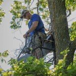 MUDDY Stronghold 1.5 Deer Hunting Ladder Stand