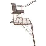 Guide Gear 17' 2-Man Ladder Tree Stand