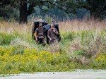 ALPS OutdoorZ Legend Layout Blind - Tan with Chair
