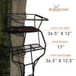 Lightweight 18ft Portable 2-Person Tree Stand