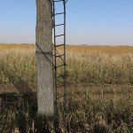 Lightweight 18ft Portable 2-Person Tree Stand