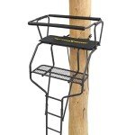 Rivers Edge 2-Man 18' Ladder Stand, Black
