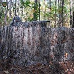 Leafy Green Ghillie Turkey Blind Cover