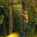 Rivers Edge 2-Man 18' Ladder Stand, Black