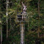 Hawk 18' Sasquatch 2-Man Ladder Tree Stand
