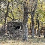 Portable Sasquatch Ghilli Hunting Blind for Deer & Turkey