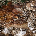 Allen Company Vanish Tree Stand Camo Blind Kit