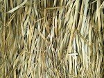 Duck Blind Camo Grass Mats - 5'H x 4'W